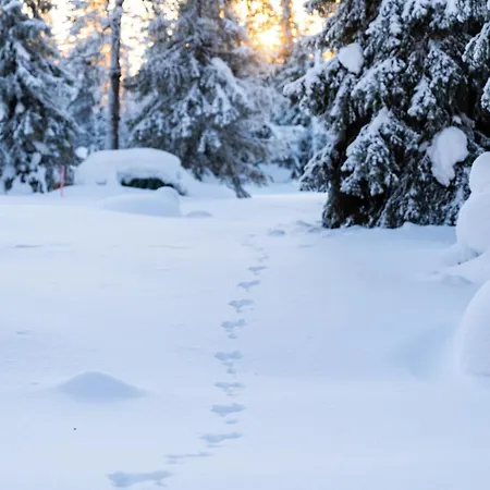 Raikas, Northern Lights, & Lake, Free Wifi, Vuosseli Ruka * Kuusamo