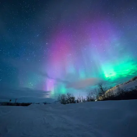 Raikas, Northern Lights, & Lake, Free Wifi, Vuosseli Ruka فيلة