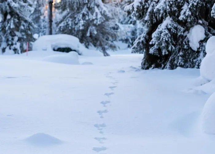 Raikas, Northern Lights, & Lake, Free Wifi, Vuosseli Ruka * Kuusamo