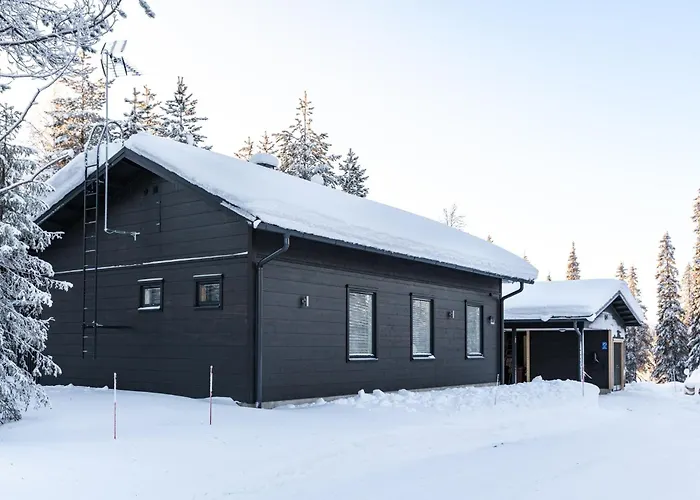 Raikas, Northern Lights, & Lake, Free Wifi, Vuosseli Ruka *