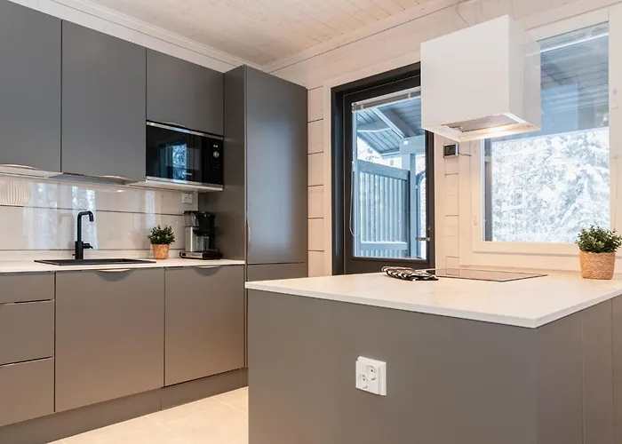 Raikas, Northern Lights, & Lake, Free Wifi, Vuosseli Ruka Vila