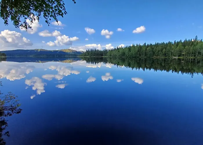 Raikas, Northern Lights, & Lake, Free Wifi, Vuosseli Ruka * Kuusamo