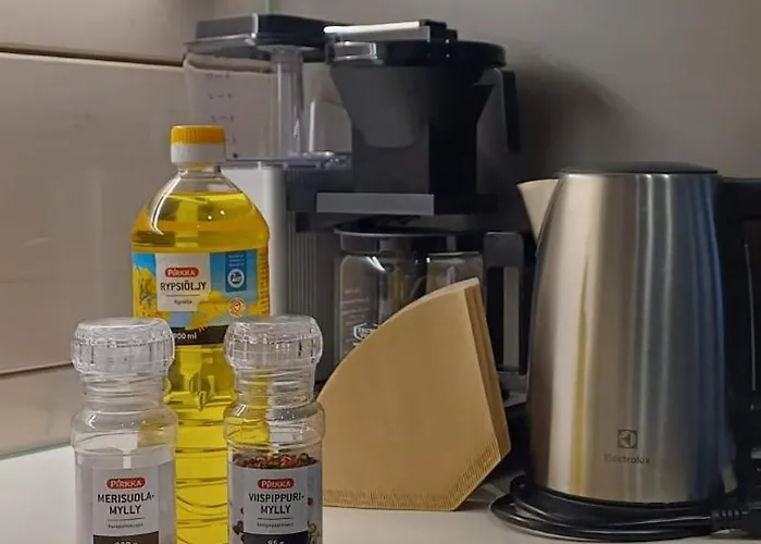 Raikas, Northern Lights, & Lake, Free Wifi, Vuosseli Ruka Vila *